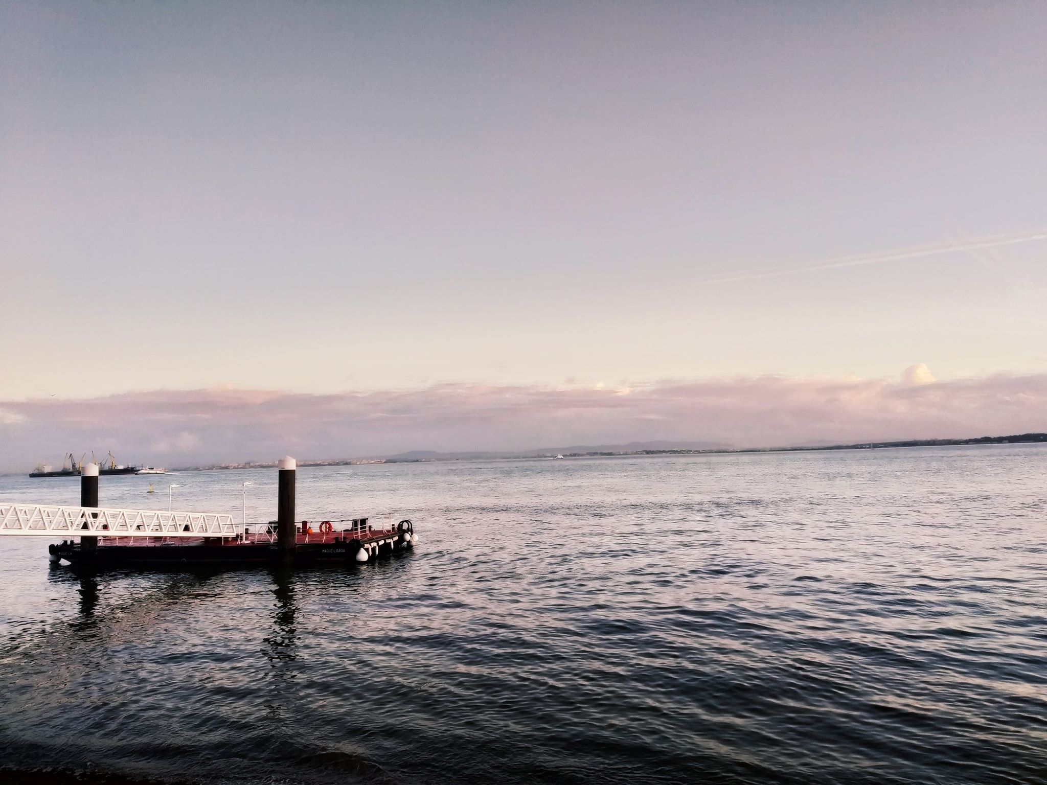 72476559_780435252370333_1178922184349843456_n