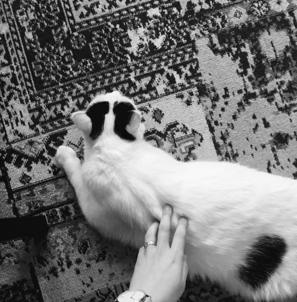 Img