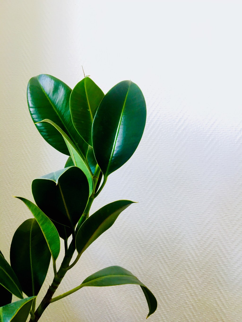 The more you do it, the easier it gets: the reason why implementing good habits into your life is easier than you think.