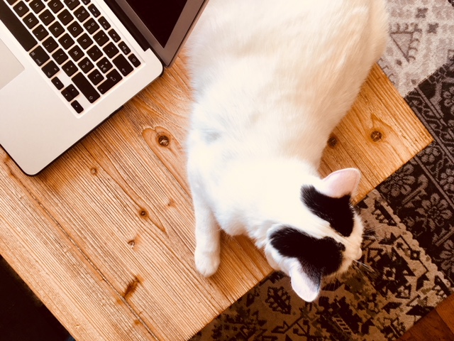 How I Plan With Trello + Free “Board Inspiration” List.