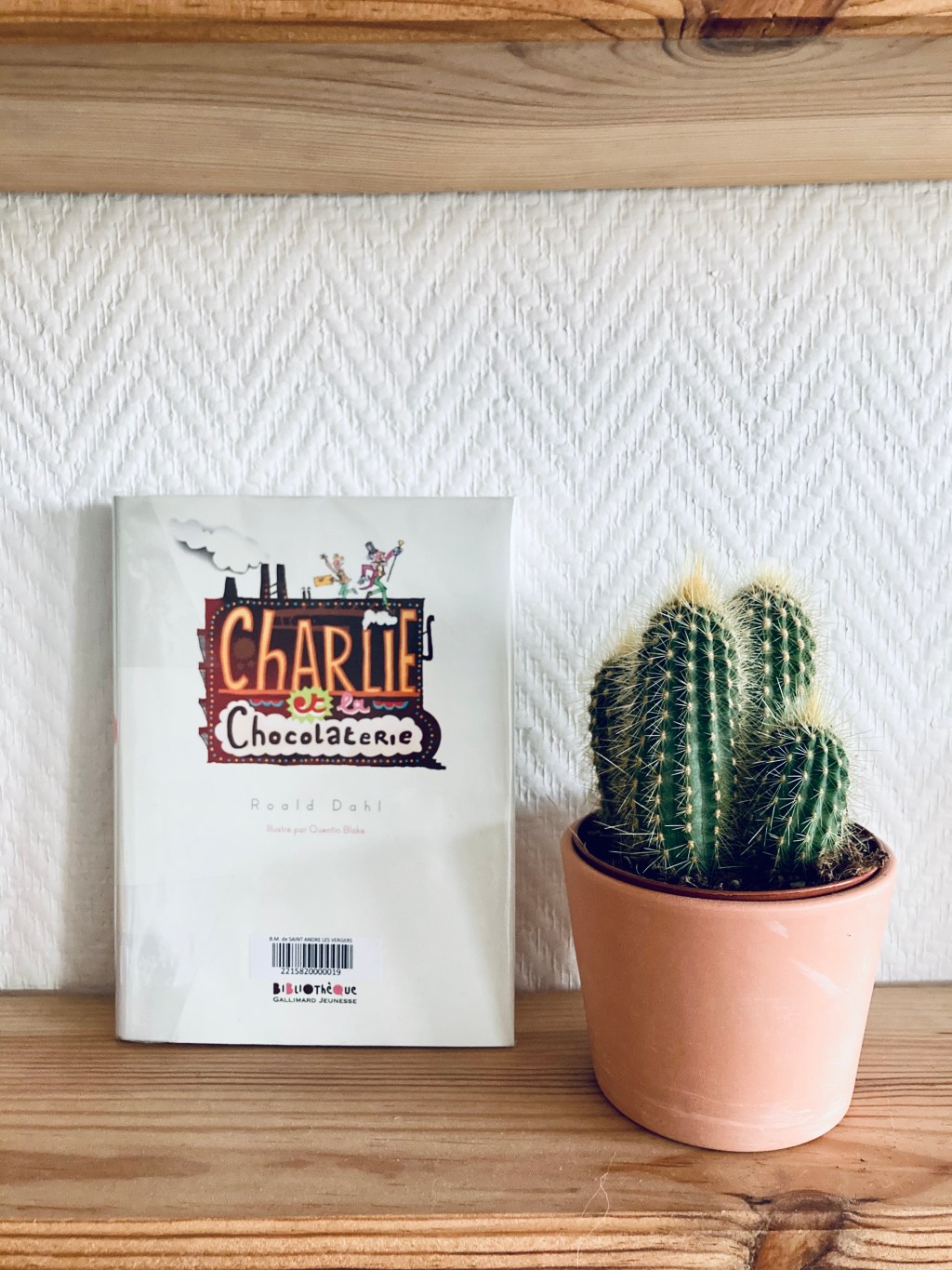 3 Book Reviews in 1: 3 of my favorite Middle Grades reviewed!