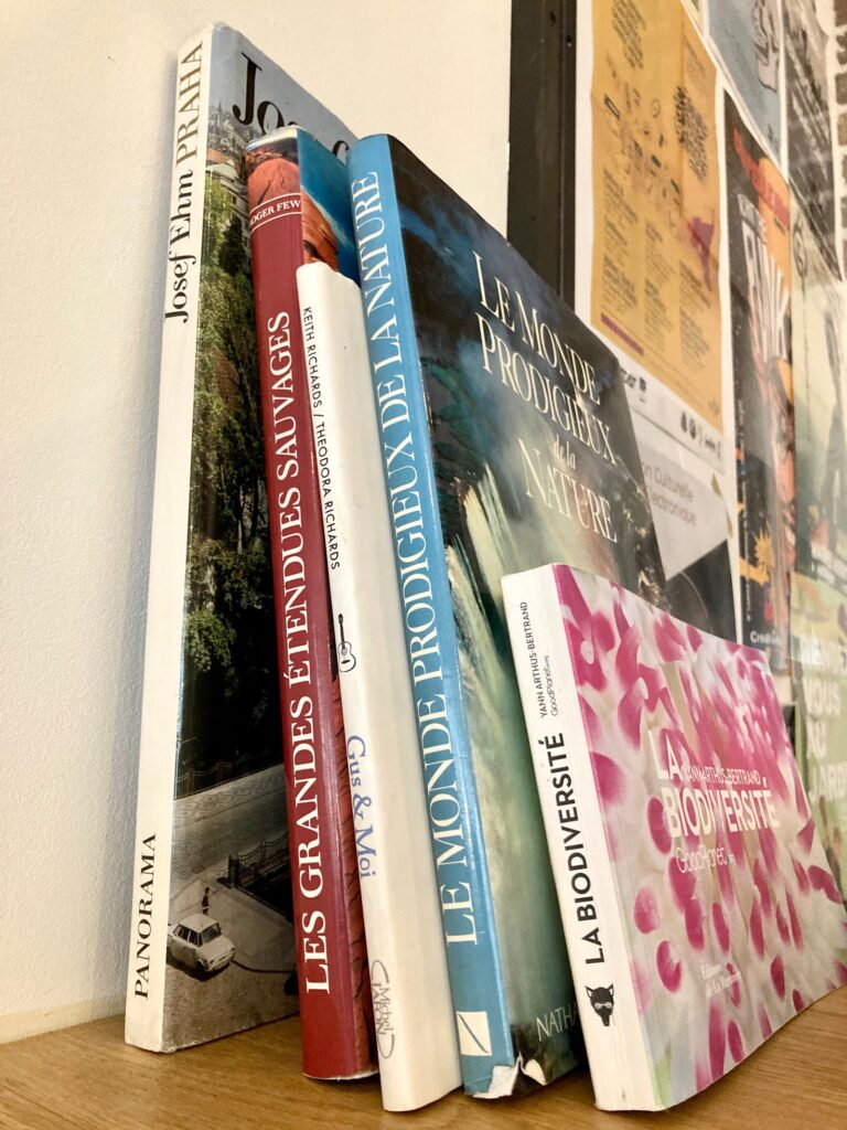 3 Unique Ways to Organize Your Books in a Small Apartment