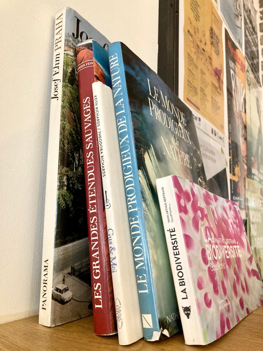 3 Unique Ways to Organize Your Books in a Small Apartment