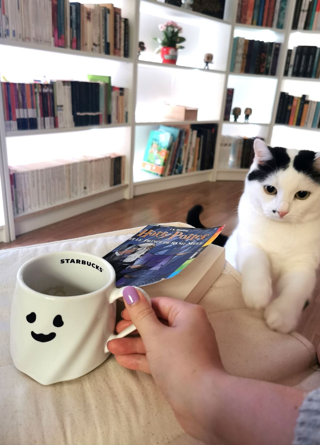 Cozy Fall Reading List for 2024